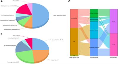 Clinical characteristics and mortality risk factors of mixed bacterial infections in hematopoietic stem cell transplantation recipients